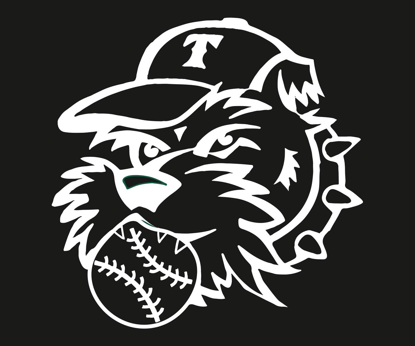 Terriers Face Hoody