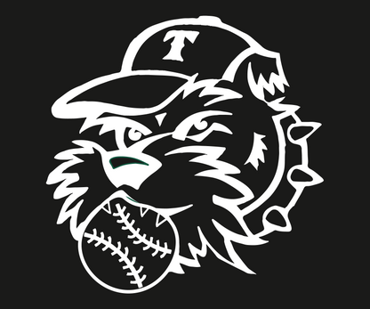 Terriers Face Hoody