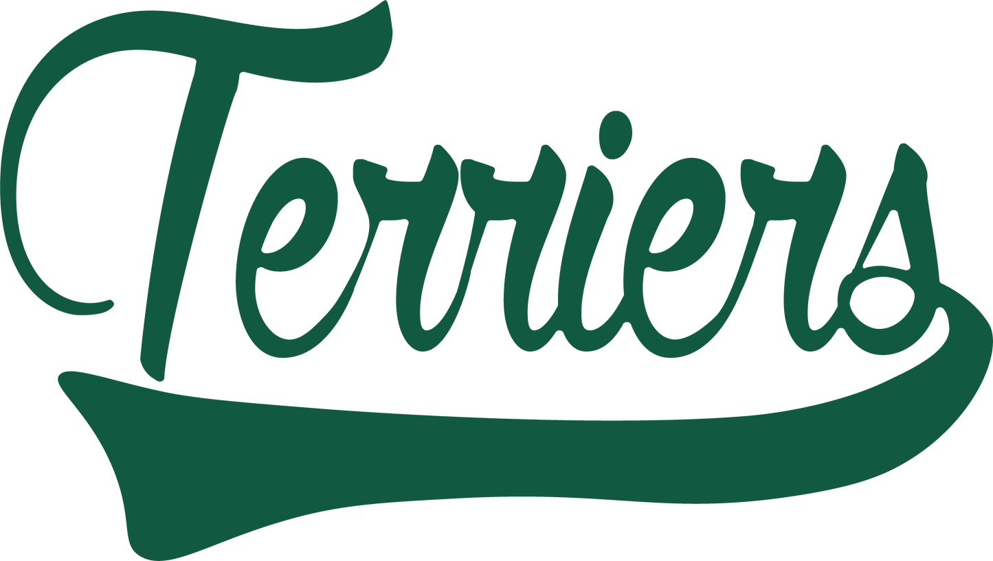 Terriers Gildan Soft Style T-shirt