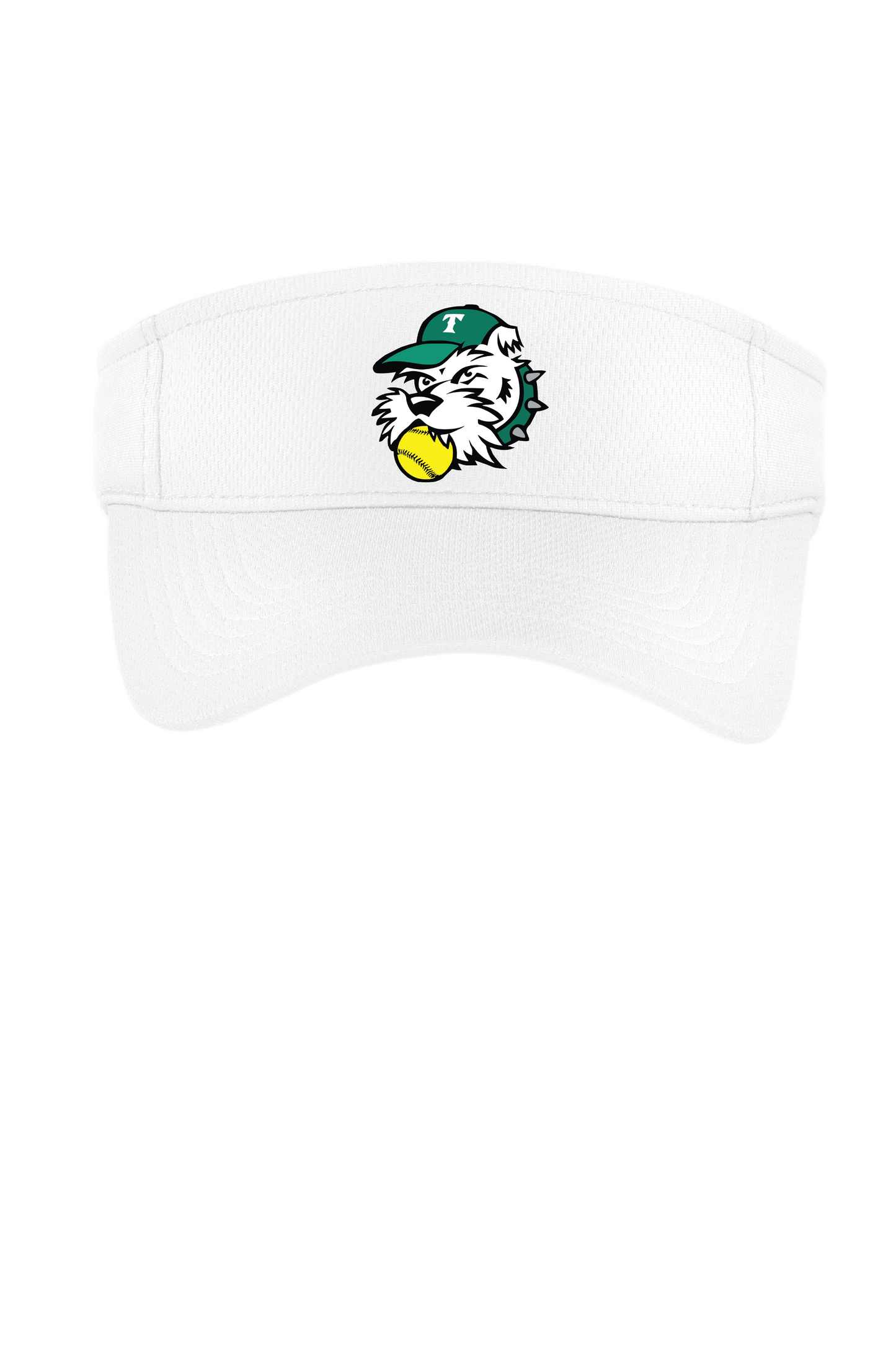 Visor